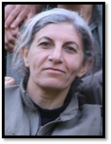 MİT PKK terrorçusunu məhv etdi 