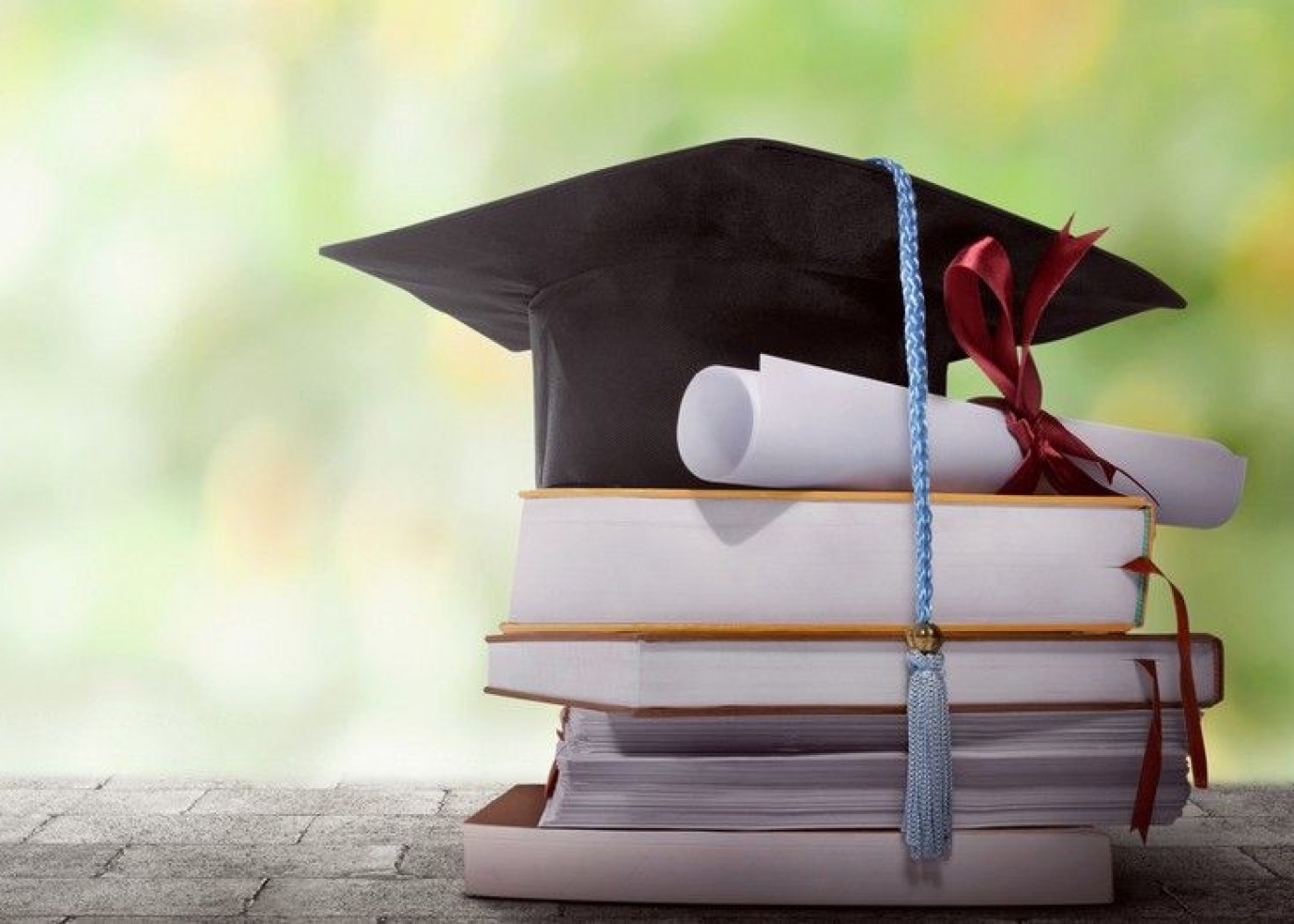 Şəhid ailələri özəl universitetlərdə pulsuz oxuyacaq