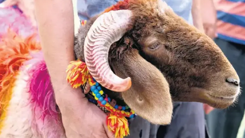 Qurban bayramı tətilinin müddəti ARTIRILDI