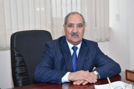 "Ana Vətən Partiyası daha çox deputatla təmsil olunmaq istəyir" - AMMA...