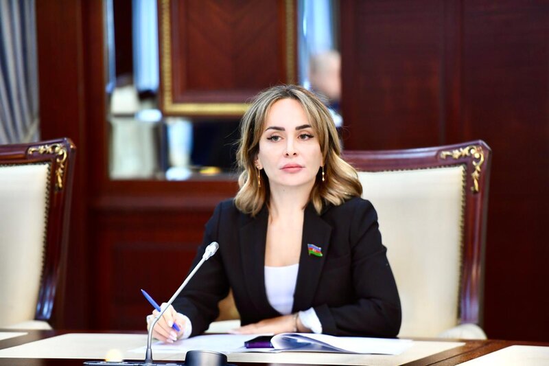 Deputat həssas qrupdan olan uşaqların sosial müdafiəsi ilə bağlı təkliflər səsləndirib