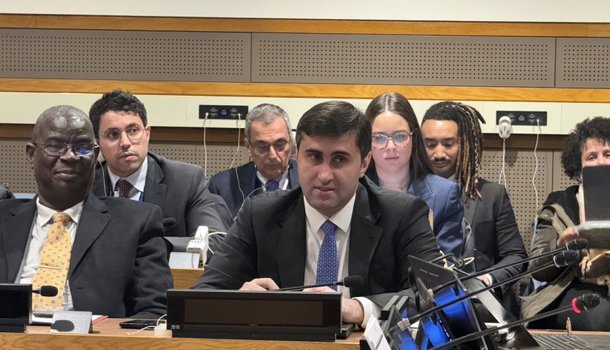 İcraçı direktor: BTQ-yə qədər dünya ictimaiyyəti bəzi müstəmləkələrin mövcudluğundan xəbərsiz idi