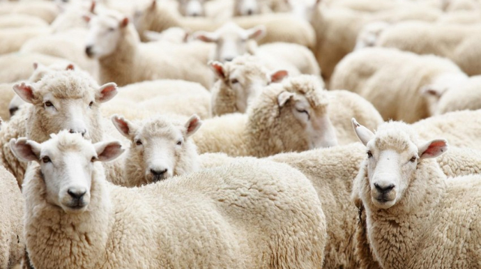 Qurban bayramından 120 gün sonra bizi nə gözləyir? – MARAQLI HESABLAMA  