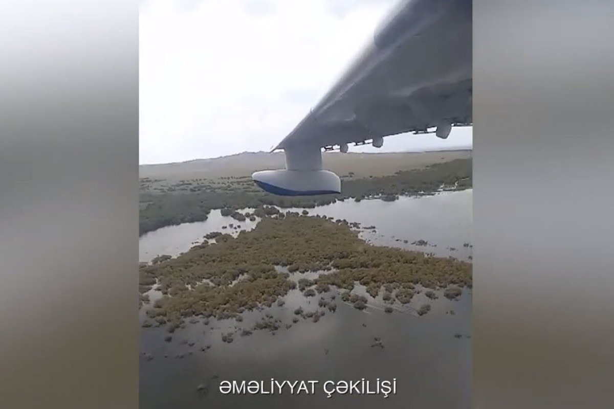 Mingəçevirdə batdığı ehtimal olunan şəxsin axtarışlarına amfibiya təyyarəsi daxil olub - VİDEO
