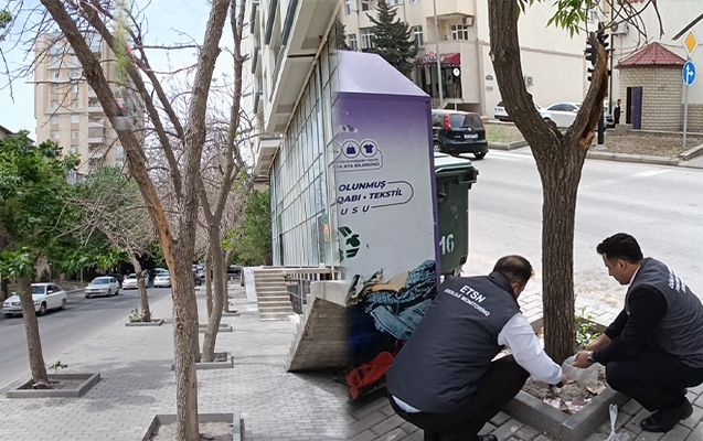 Nərimanovda quruyan ağaclarla bağlı açıqlama - Foto