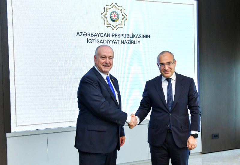 Mikayıl Cabbarov İsrail rəsmisi ilə görüşüb