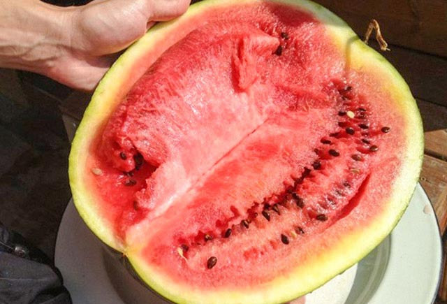 Belə qarpızları almayın! Zəhərli qarpızın əlamətləri - FOTO