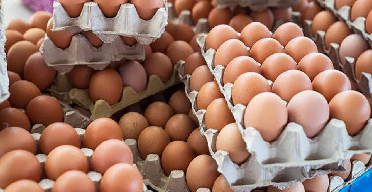 Ukrayna ABŞ-ın ZƏİF DAMARINI TUTDU - Yumurta verək, silah verin