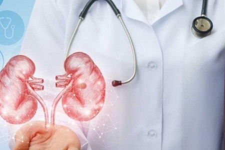 Dünyada İLK: insana donuz böyrəyi köçürüldü
