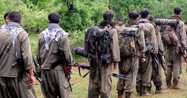 Öcalanın şagirdi olmuş terrorçu zərərsizləşdirib 