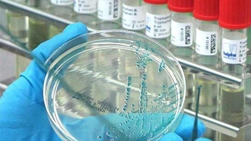 ÜST: Virus uzun illər həyatımızda qala bilər
