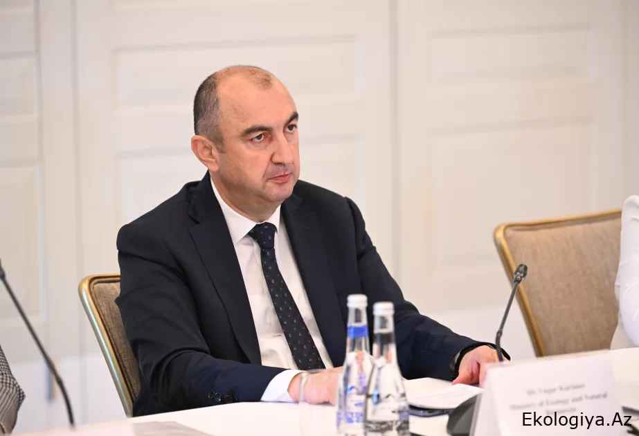 Vüqar Kərimov: Azərbaycan Türkiyə ilə Qarabağda tingçilik mərkəzi tikir