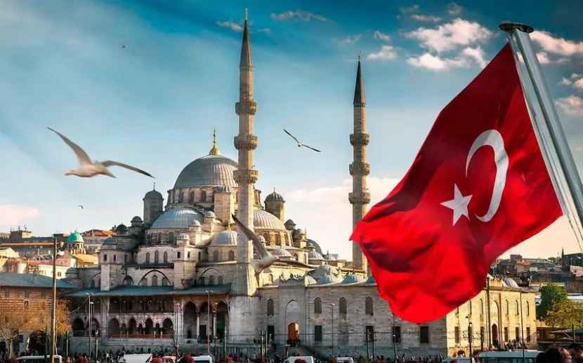 İstanbulda meşəlik ərazidə yanğın BAŞLADI