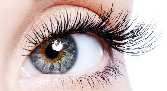Mask insan beyninə görməni bərpa edən çip yerləşdirmək planlarını təsdiqləyib