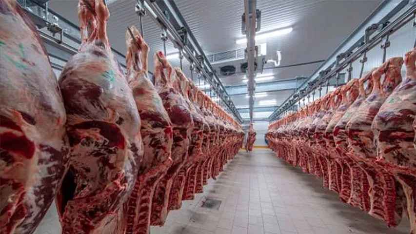 Ətlə bağlı əhaliyə MÜHÜM XƏBƏR: Bazarda satılan ətlər...
