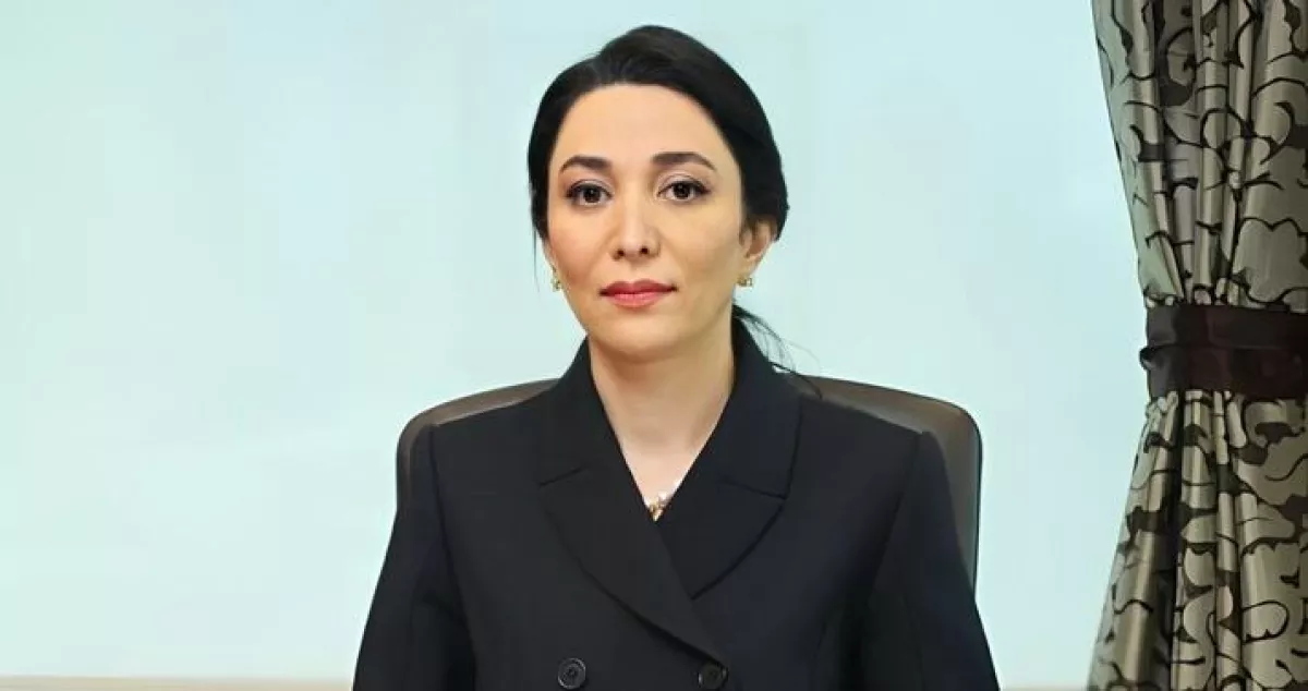 Miqrantların hüquqlarının müdafiəsində Ombudsman təsisatlarının rolu
