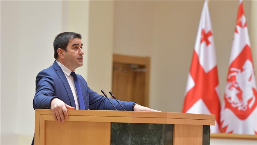 Gürcüstan Zelenskini "nankorluqda" ittiham etdi