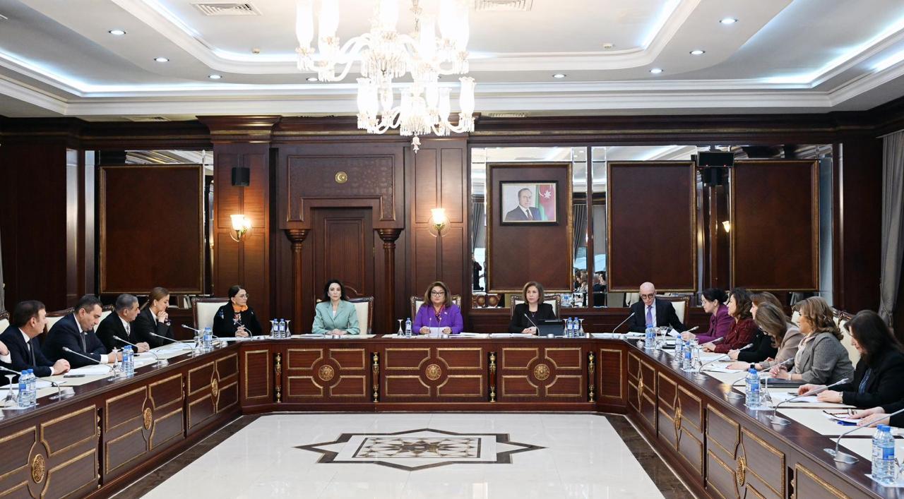 Ombudsman “Uşaq hüquqları haqqında” Azərbaycan Respublikası Qanununun layihəsinin müzakirəsində iştirak edib