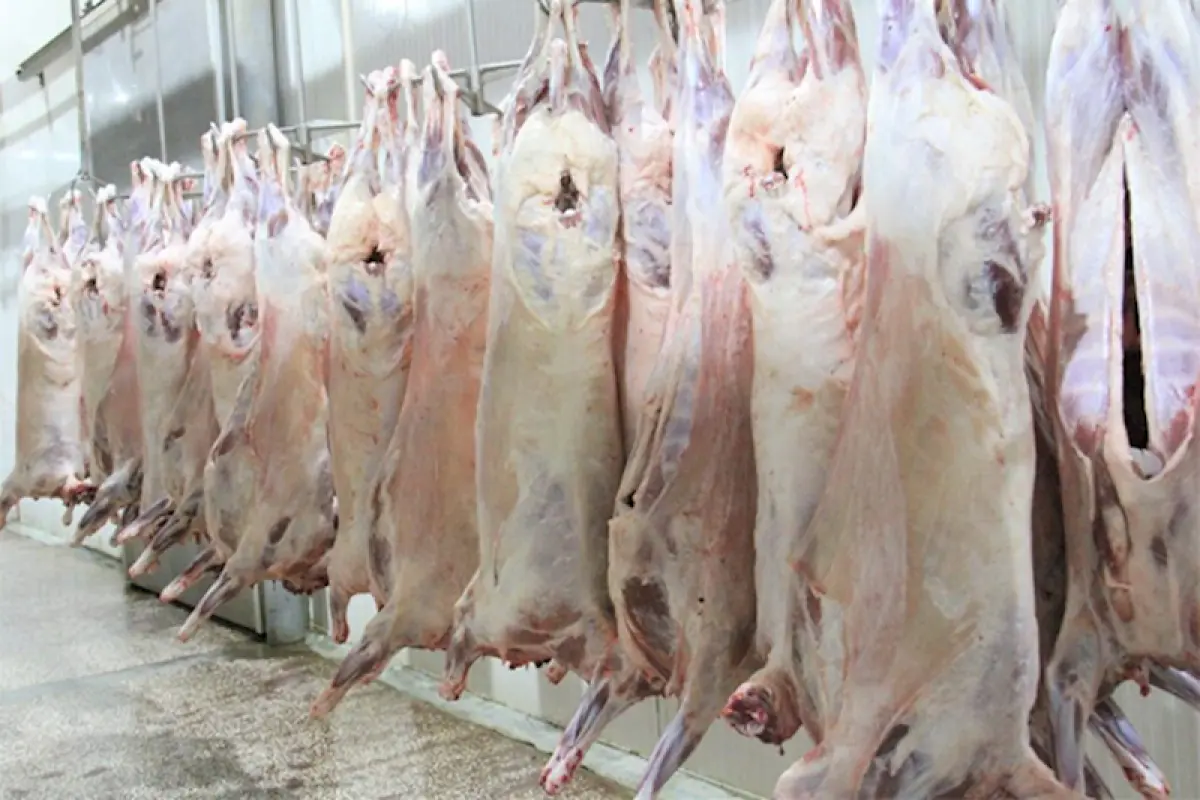 Ötən il Azərbaycana Monqolustandan 900 tona yaxın ət idxal edilib
