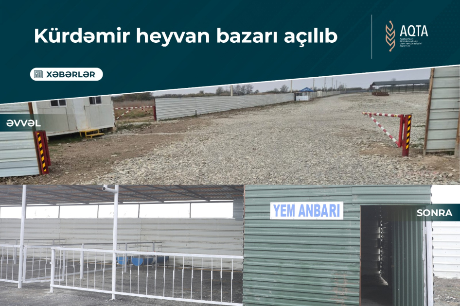 Kürdəmirdəki heyvan bazarı açılıb