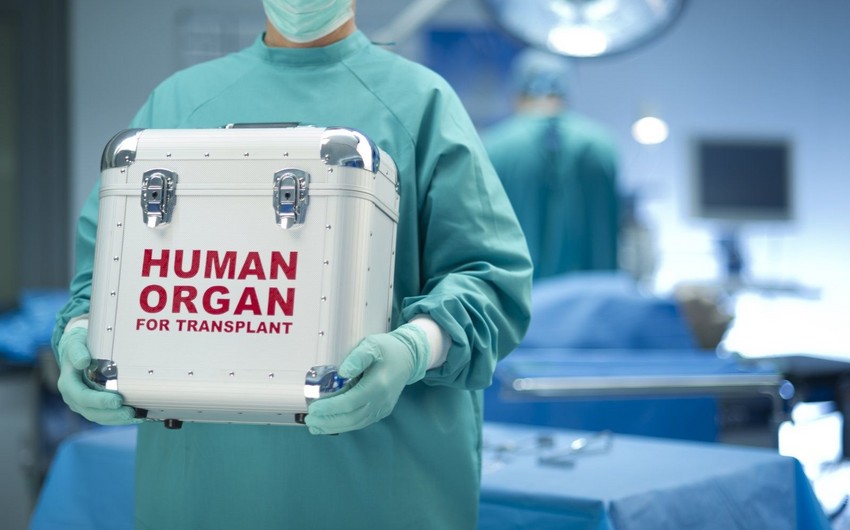 Azərbaycanda donor olmaq istəyənlərin sayı  - RƏSMİ