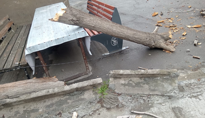 Bakıda təhlükəli vəziyyət – Ağac uşaqların oturduğu skamyanın üzərinə aşdı – Fotolar