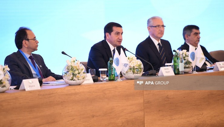 “Azərbaycan Qlobal Cənubun bir hissəsidir” - Prezidentin köməkçisi