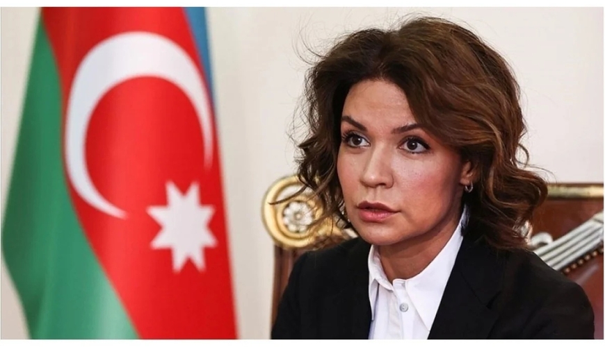 Prezidentdən Nərminə Mustafayeva ilə bağlı SƏRƏNCAM