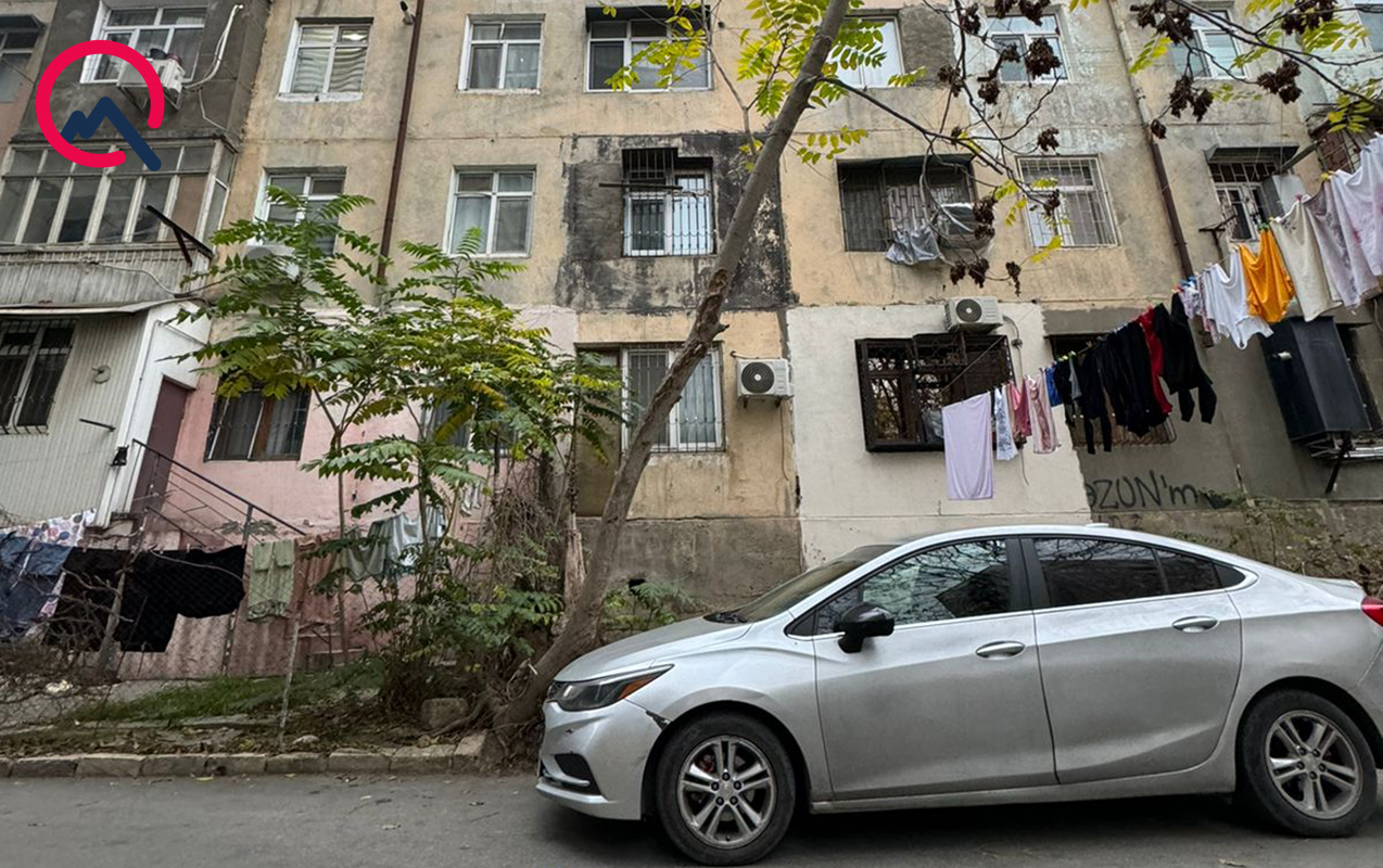 Bu ağac hər an aşa bilər... - Fotolar
