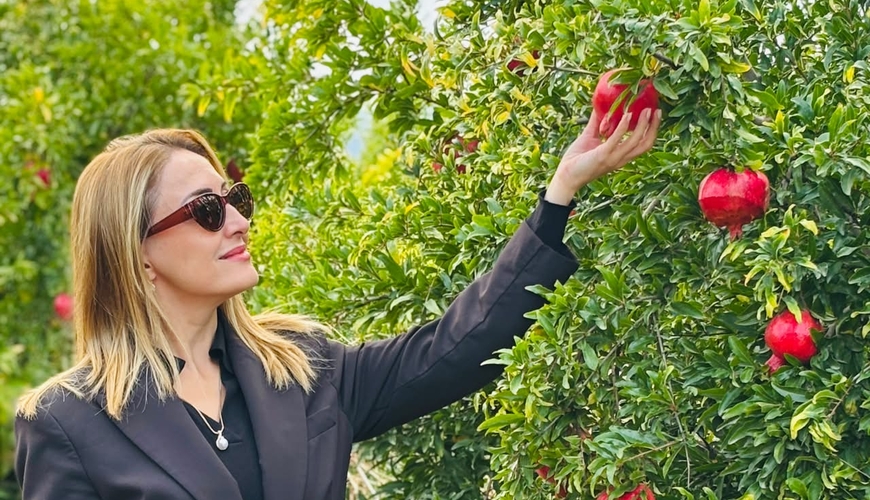 Qarabağ narı dünya bazarına çıxarılır: Ağdamın “Zəfər bağları”ndan REPORTAJ