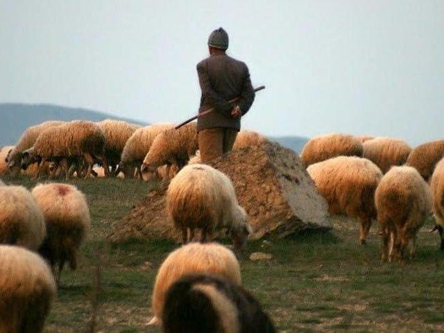 “Biz onu ölkəsinə qaytarmalıyıq” - Paşinyan həmin çobandan danışdı