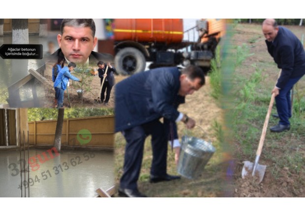 Qazaxda park “məhv edilir” – Ağaclar gecə ilə kəsildi, beton obyektlər ucalır / FOTOFAKT