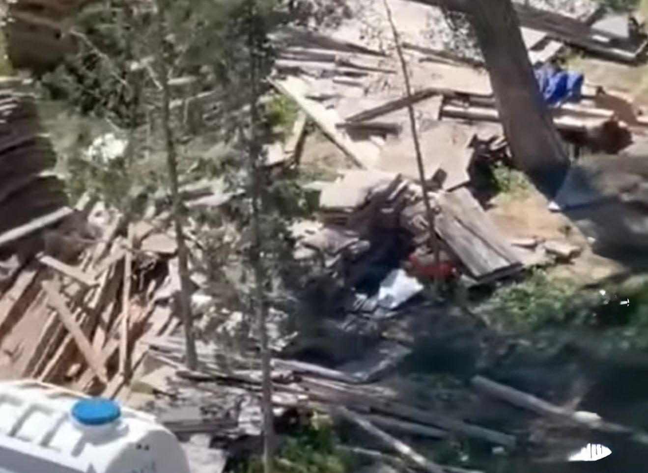 Sumqayıt şəhərində ağac kəsilmə faktı üzə prosessual araşdırma aparılır.