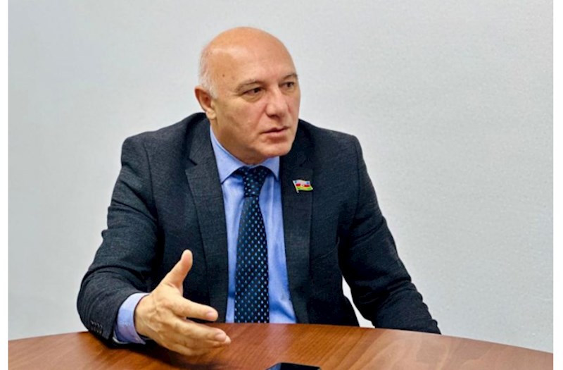 Deputat: "Ac-susuz heyvanlar insanlara hücum edir"