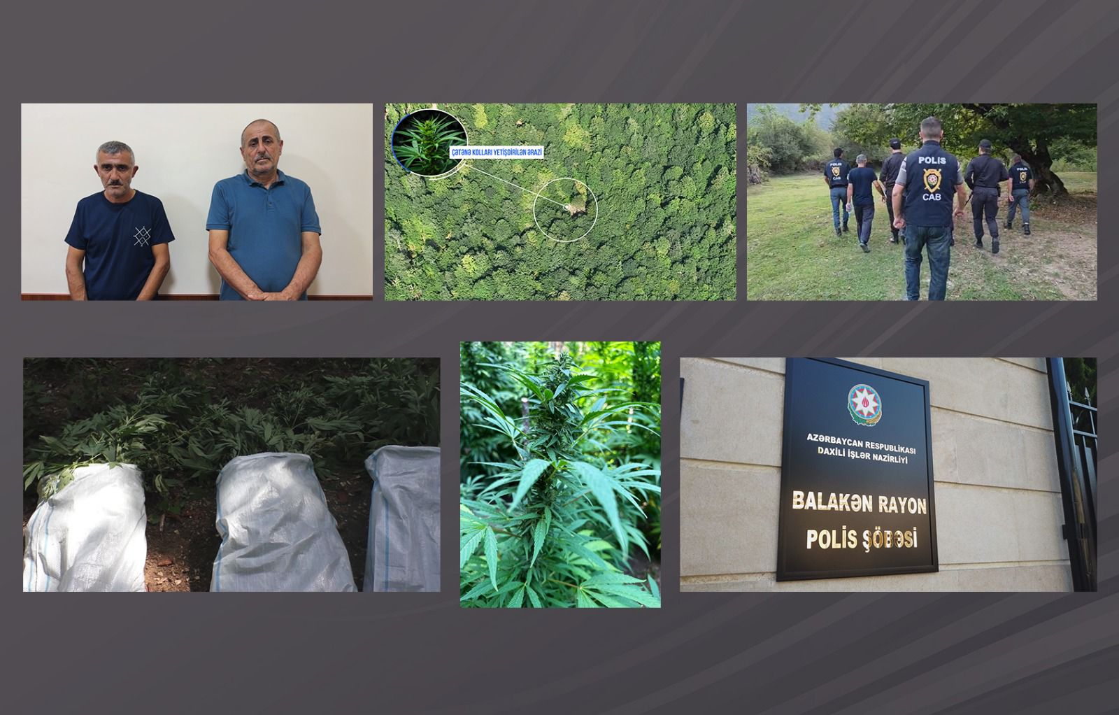 Balakəndə polis dağlarda əməliyyat keçirdi, narkoplantasiya salan silahlı şəxslər tutuldu