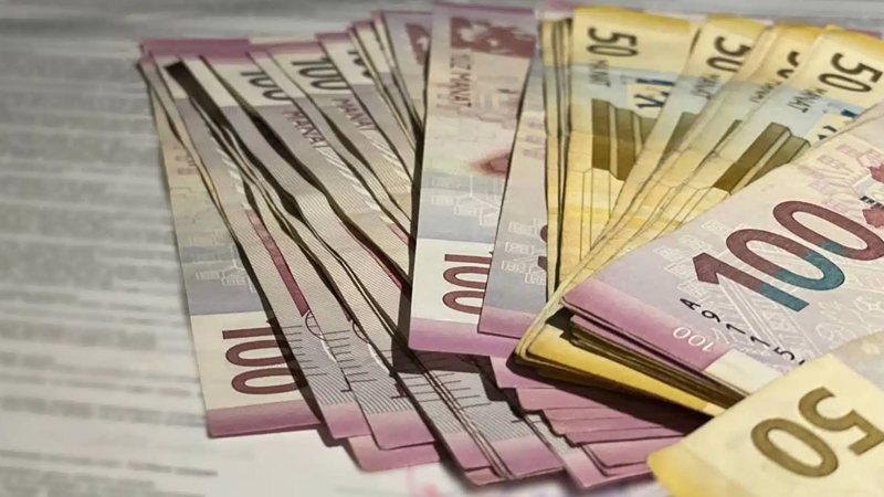 “Bank bilməlidir ki, bu vəsaiti verəndə o geri qayıtmayacaq” - Komitə sədri