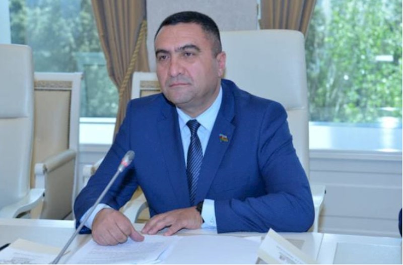 Bir həkimin iki müəssisədə işləmə praktikasını sistemə salmalıyıq — Deputat