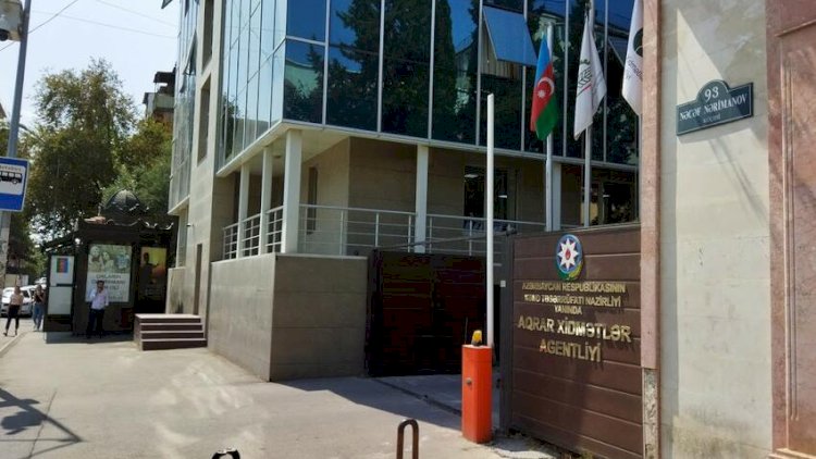 Bu dövlət qurumunda 39 milyonluq yeyinti aşkar edildi - RƏSMİ