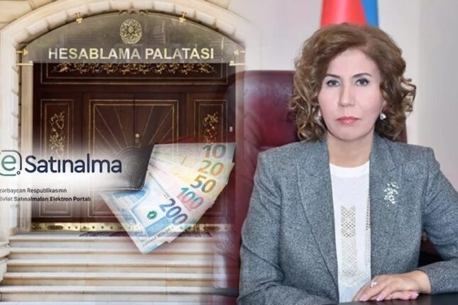 Hesablama Palatası Bahar Muradovanın komitəsini yoxlayır