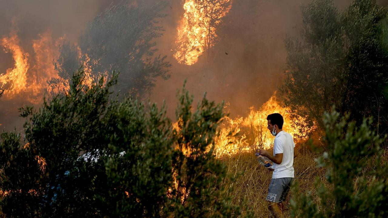 Meşə yanğınları İzmirdə yaşayış məntəqələrinə çatdı: ölən var