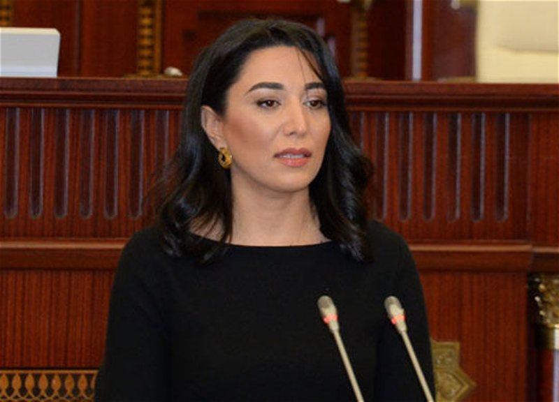 Ombudsman: Ermənistanın törətdiyi müharibə cinayətlərinə görə monitorinqlər aparılır