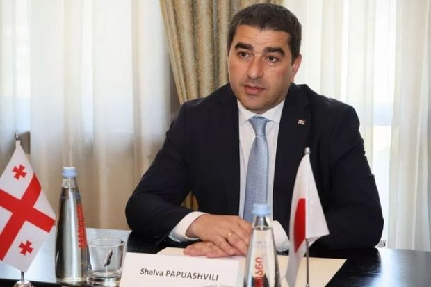 Şalva Papuaşvili: “Azərbaycan ilə Gürcüstan strateji tərəfdaş kimi fəal əməkdaşlıq edirlər”