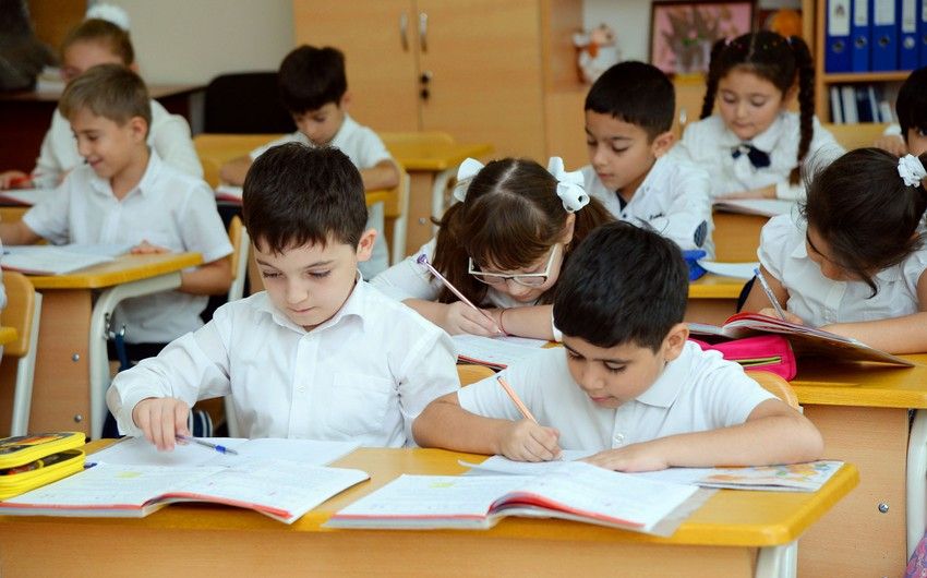 Nazirlik divanları, şkafları üst-üstə verdiyinə, printer versin - Müəllimdən şikayət