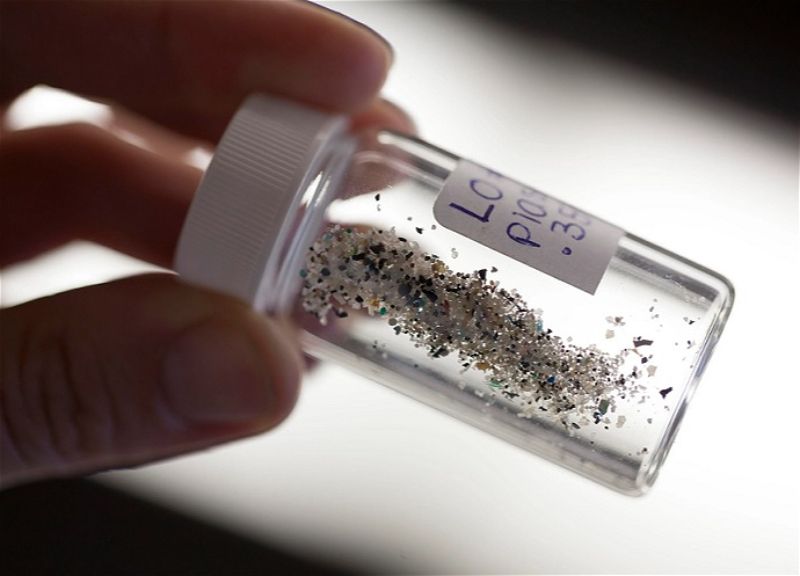 Dünyada ilk – İnsan ürəyində mikroplastik tapıldı