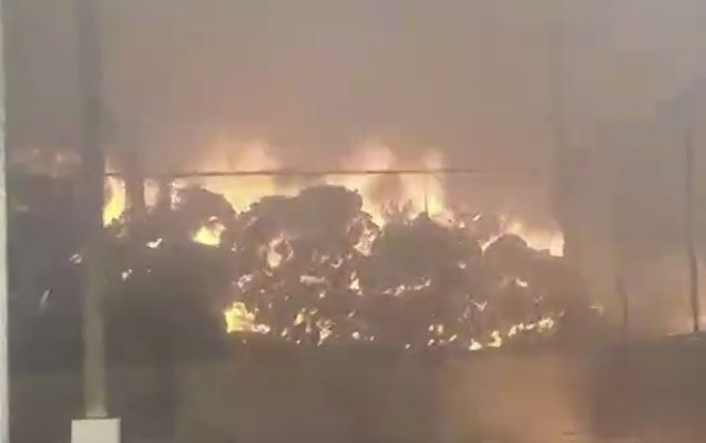 Azərbaycanda Aqroparkda güclü yanğın - VİDEO