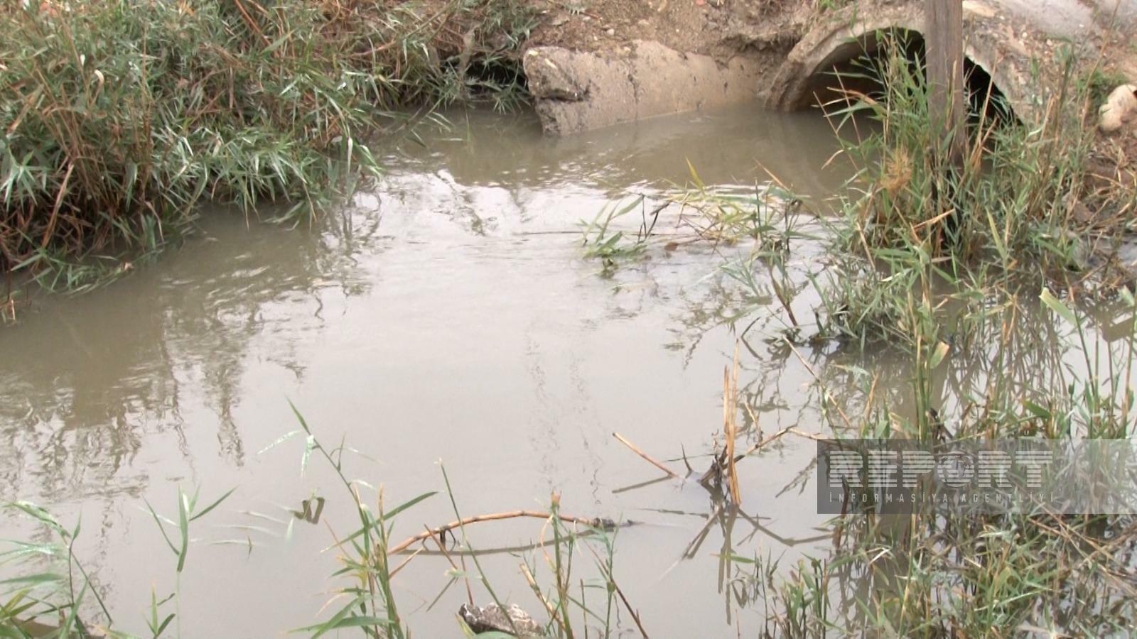 Sumqayıtda kanal daşdı: 10 minə yaxın sakinin... - FOTO