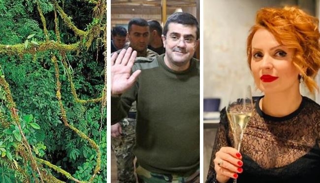 Araikə cəngəllik lianası kimi sarılan qadın – Liana Adamyanın lüks həyatı