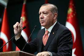Ərdoğan: Türkiyə Rusiya və Ukrayna ilə sülh danışıqlarını davam etdirəcək