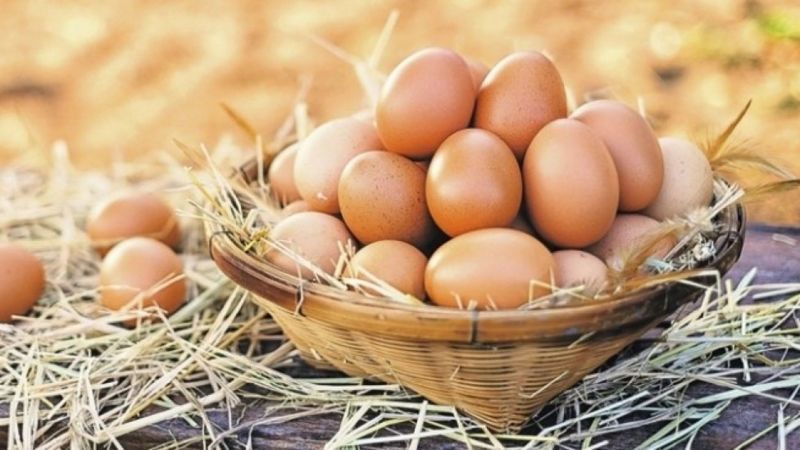 Azərbaycanda yumurta bahalaşdı