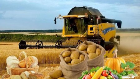 Ayrılan 100 milyonlarla subsidiya ilə məhsul istehsalı arasında TƏRS MÜTƏNASİBLİK - KİMDİR GÜNAHKAR?